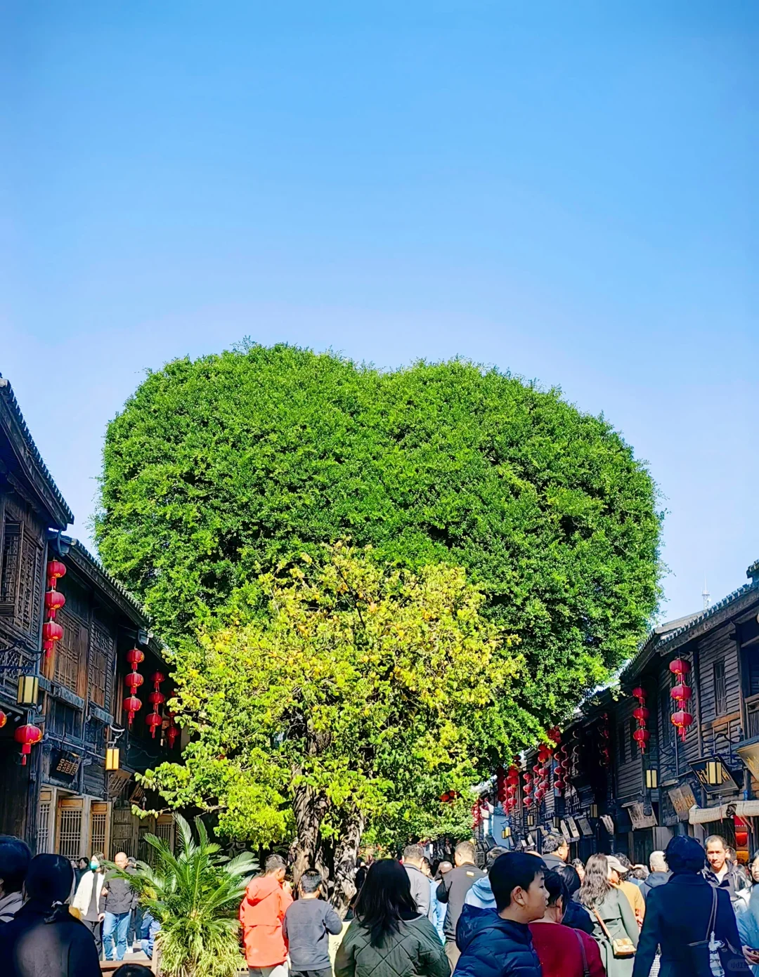 听劝，福州会惩罚每一个不做攻略的人❗