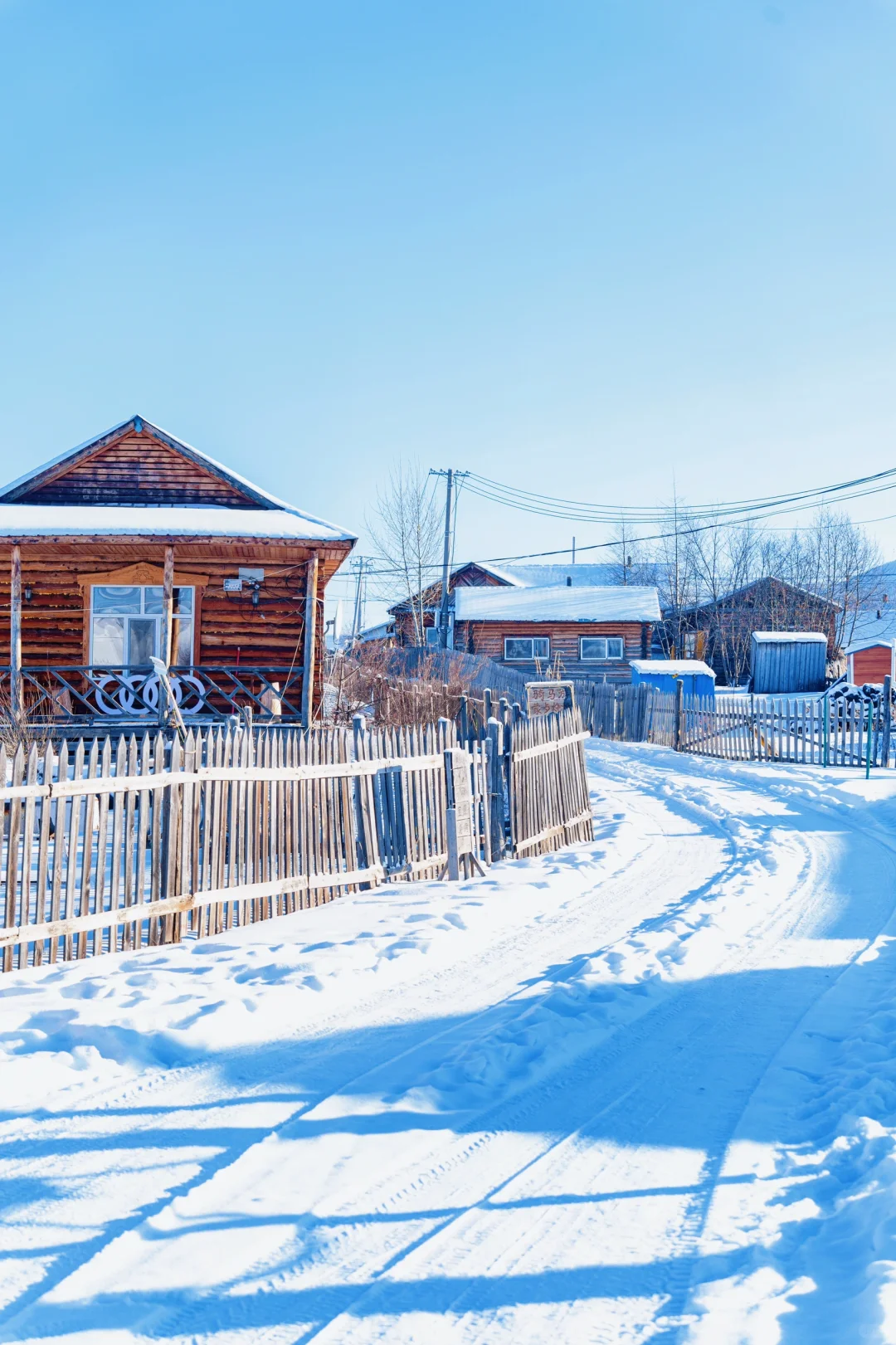 人生建议：1-2月一定要去次淡季的呼伦贝尔！