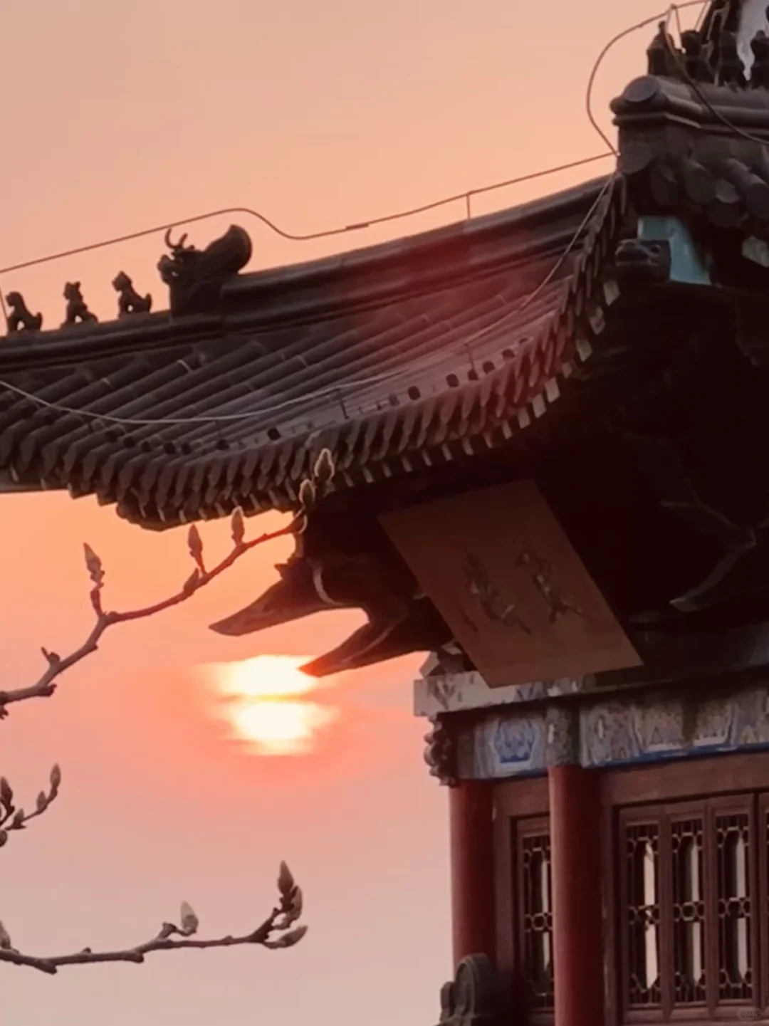 📍熬夜整理连云港三日游旅游攻略｜春节版🧧