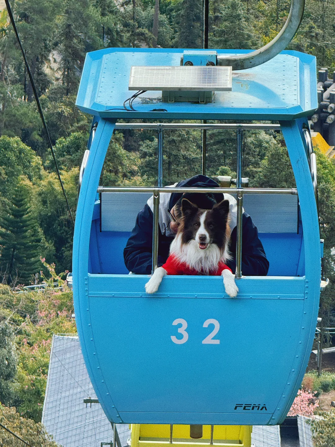 春节淡季 太适合带小狗去云门山旅游啦~