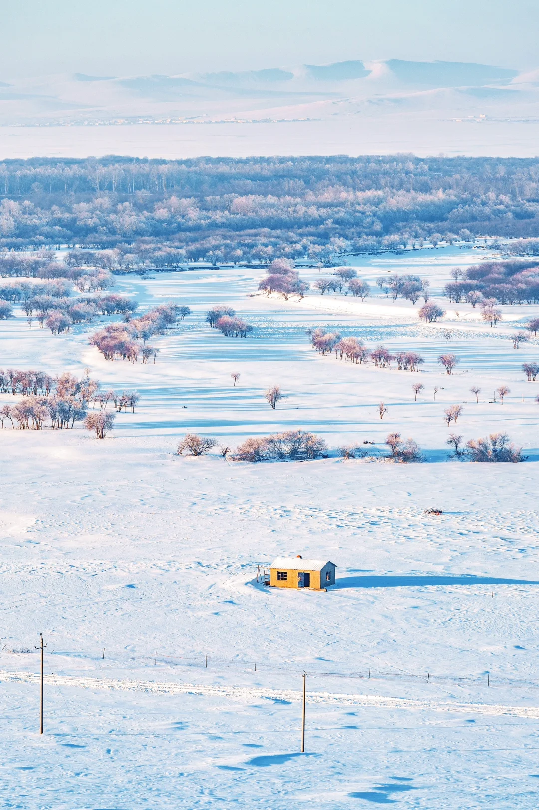 人生建议：1-2月一定要去次淡季的呼伦贝尔！