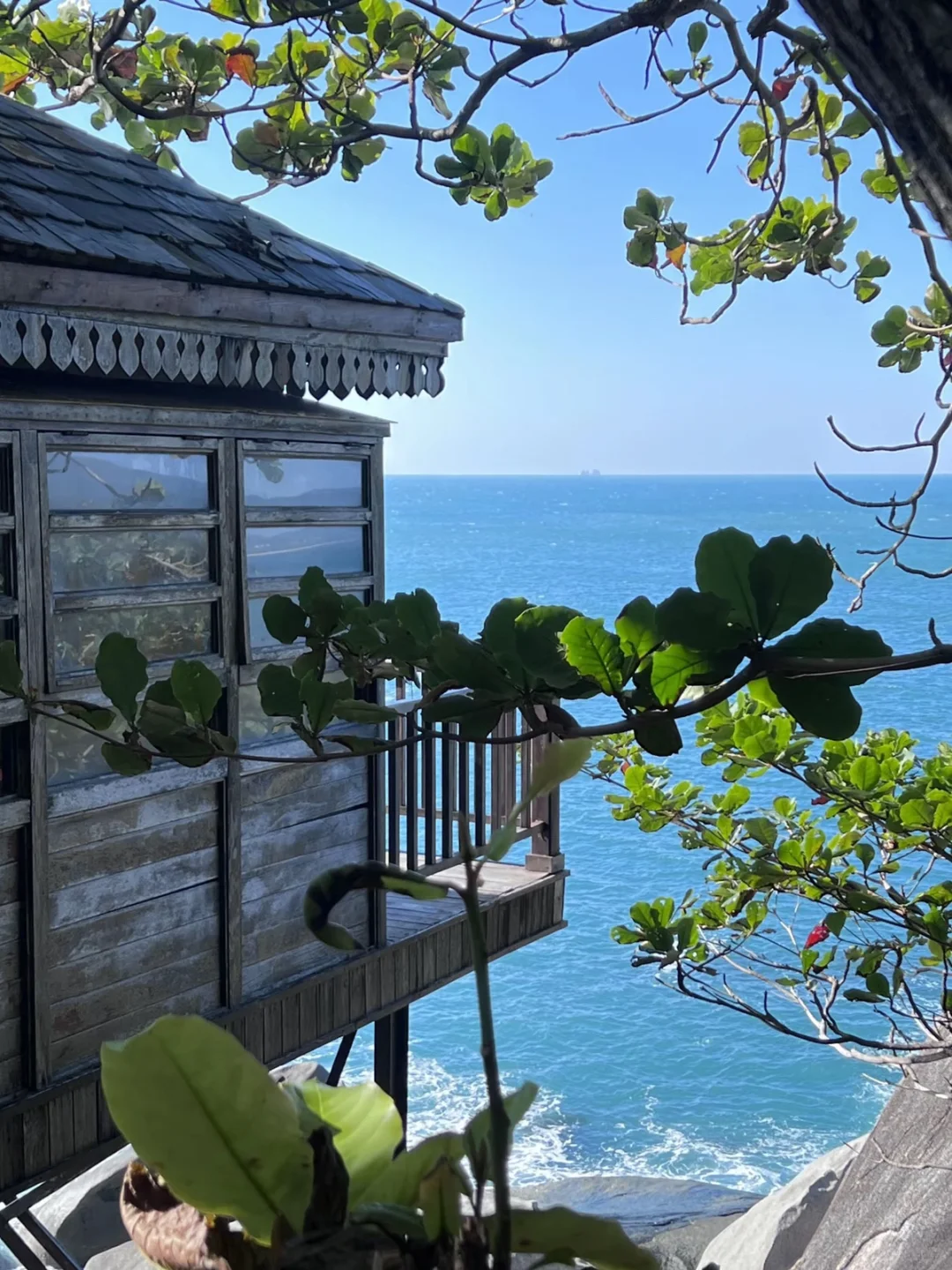 陵水已回，还想要春节去陵水旅游的可以看看.