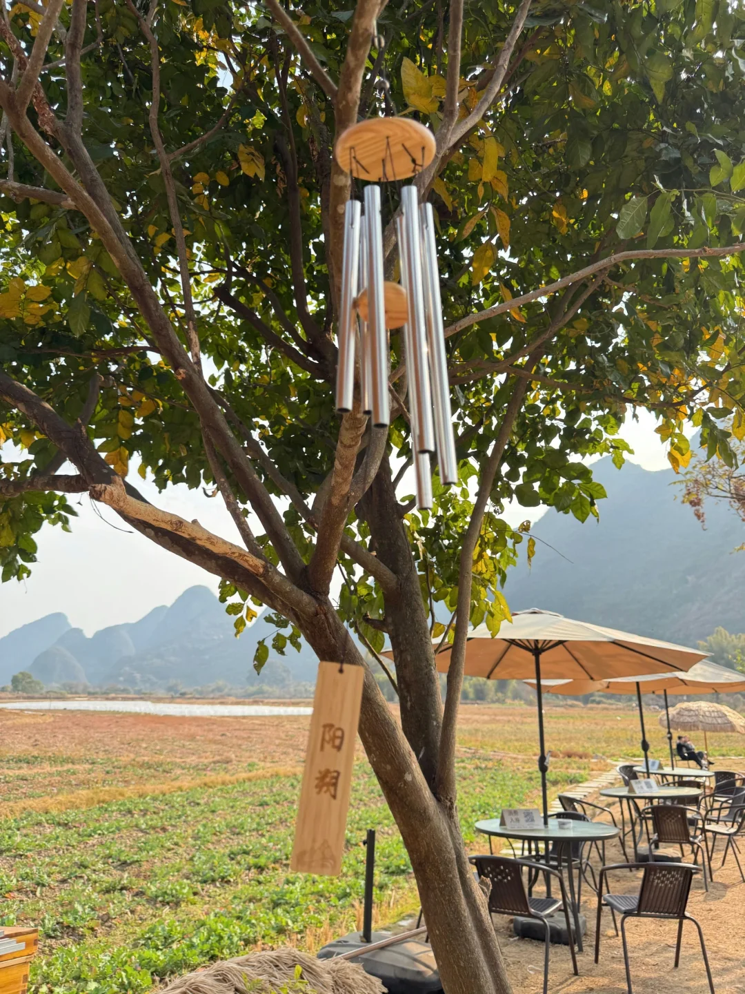 桂林春节旅游现状!80%的人都玩错了……