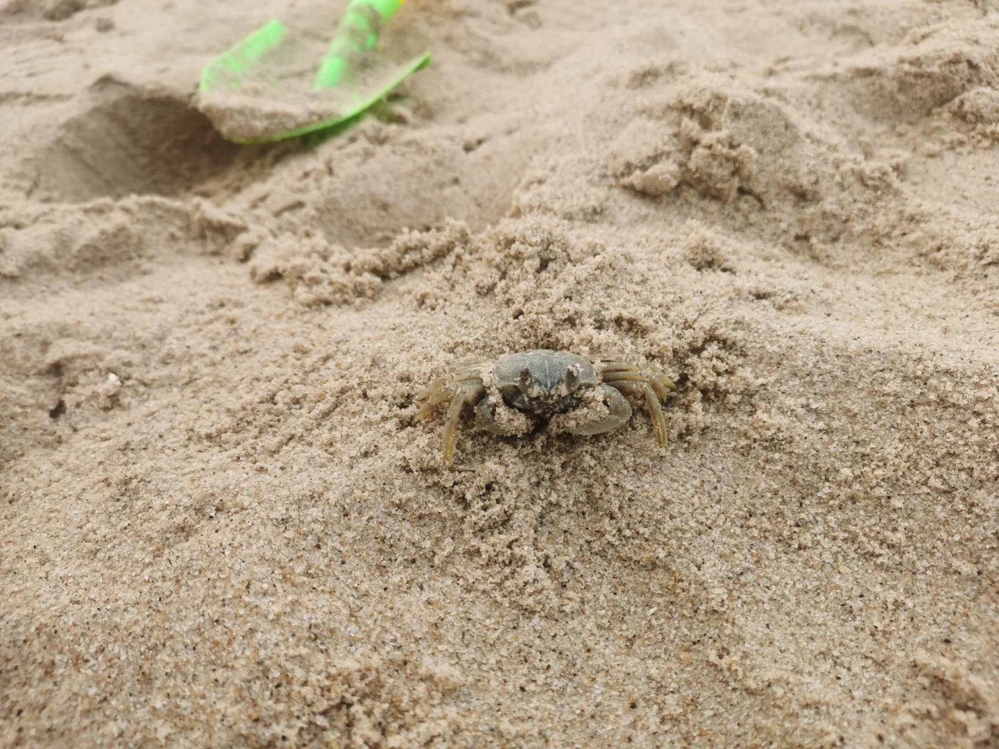 广东潮汕旅游自驾游攻略