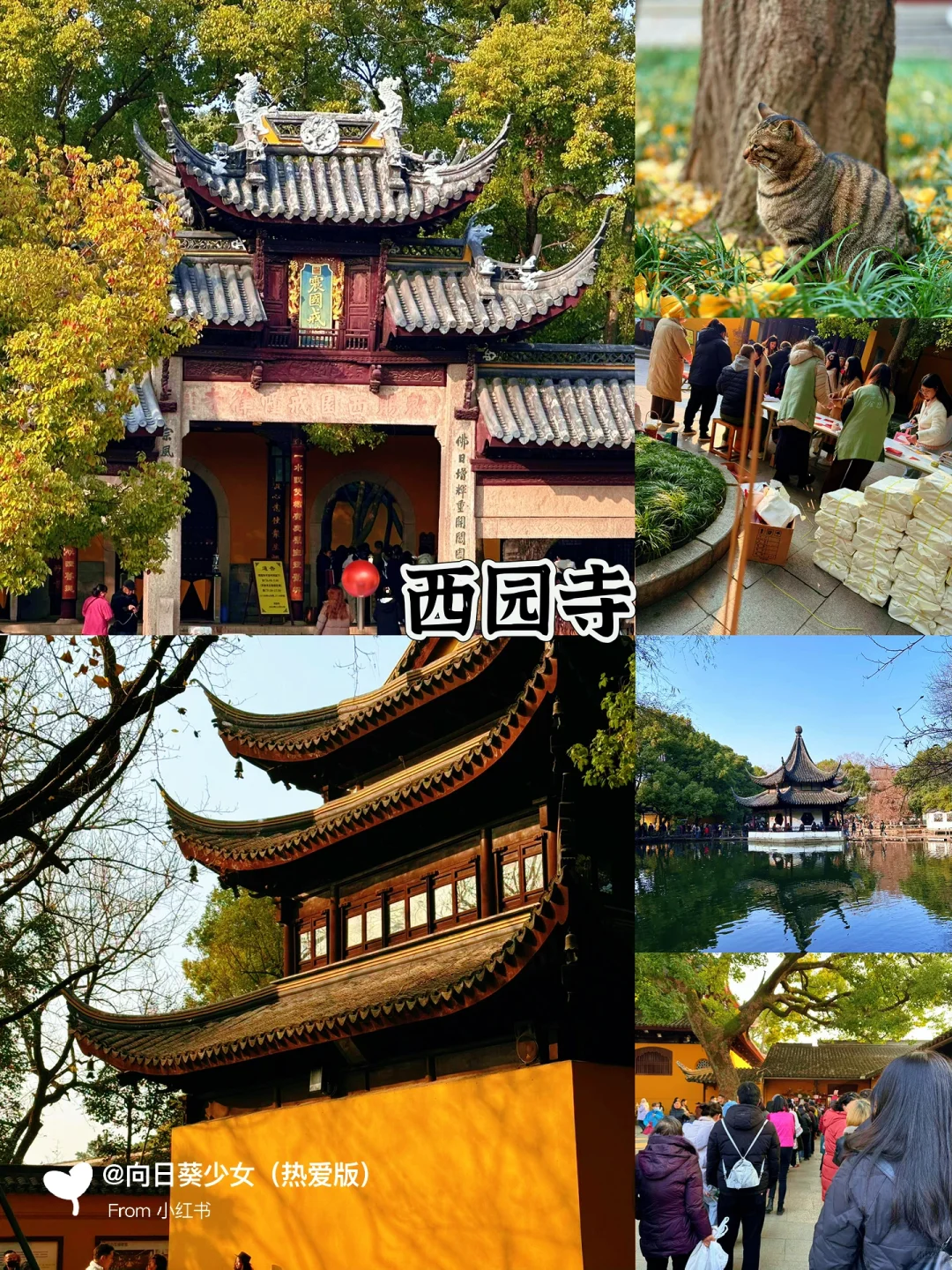 春节假期丨苏州旅游不要只知道拙政园‼️