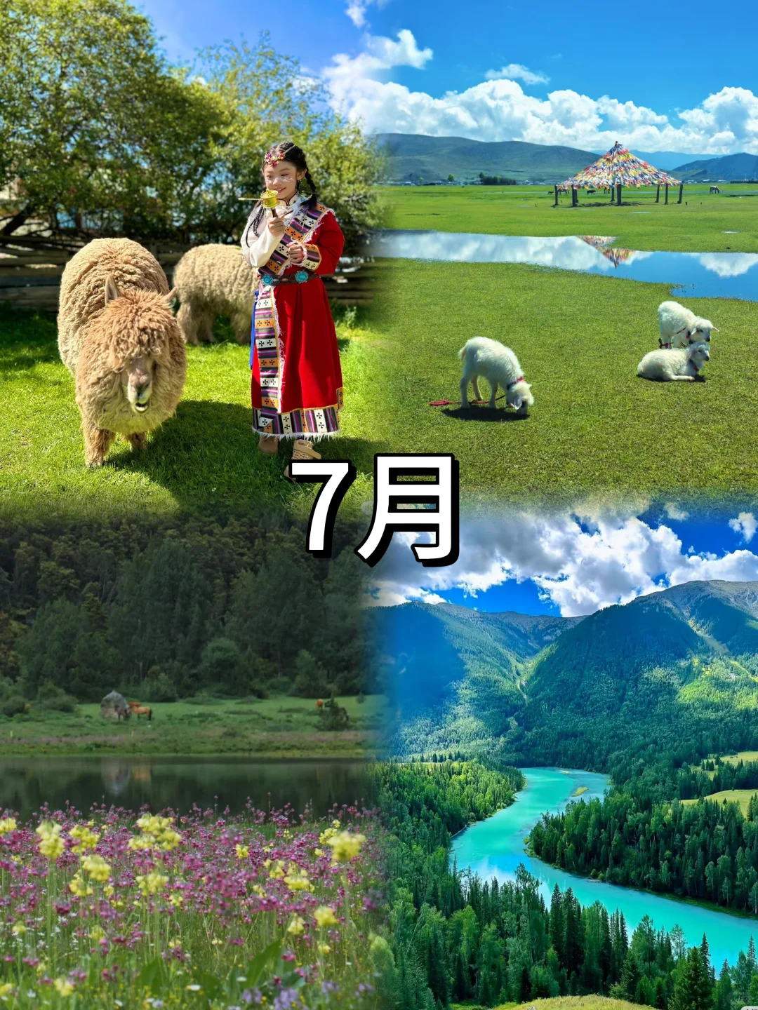 2025全年亲子旅行计划（1月-12月）超全面‼