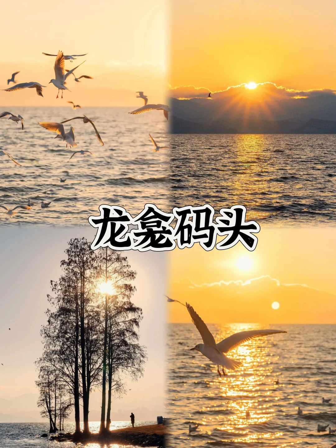 03女大📍大理/两日游不走回头路线攻略❗️