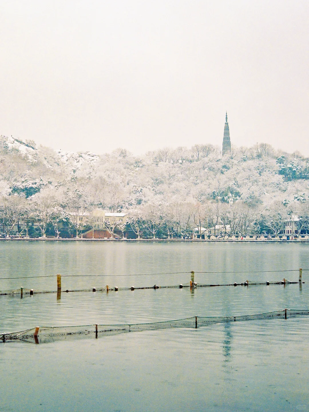 Welcome to Hangzhou-杭州的春夏秋冬
