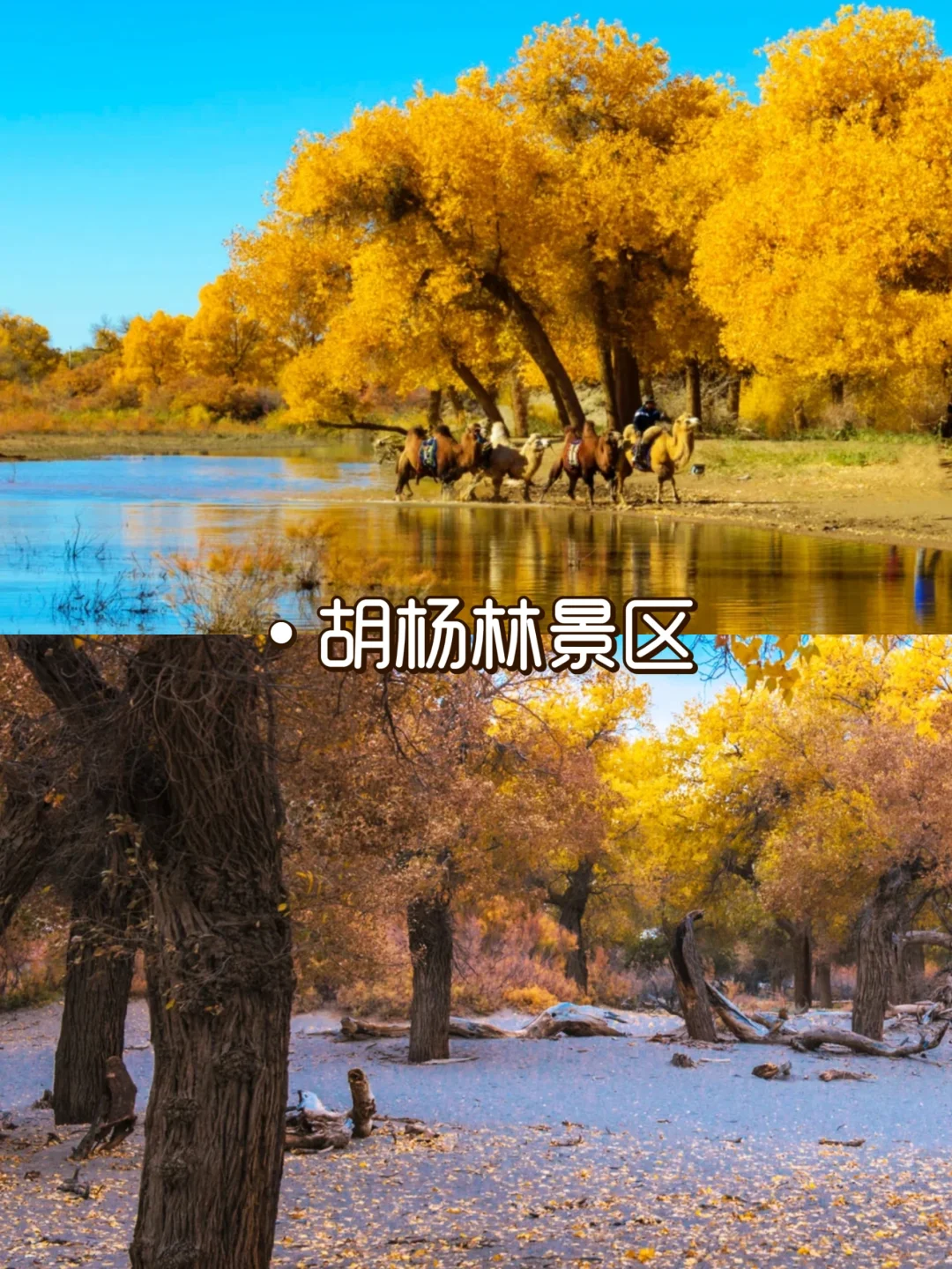 内蒙古必去的9大景点| 塞外风光大赏