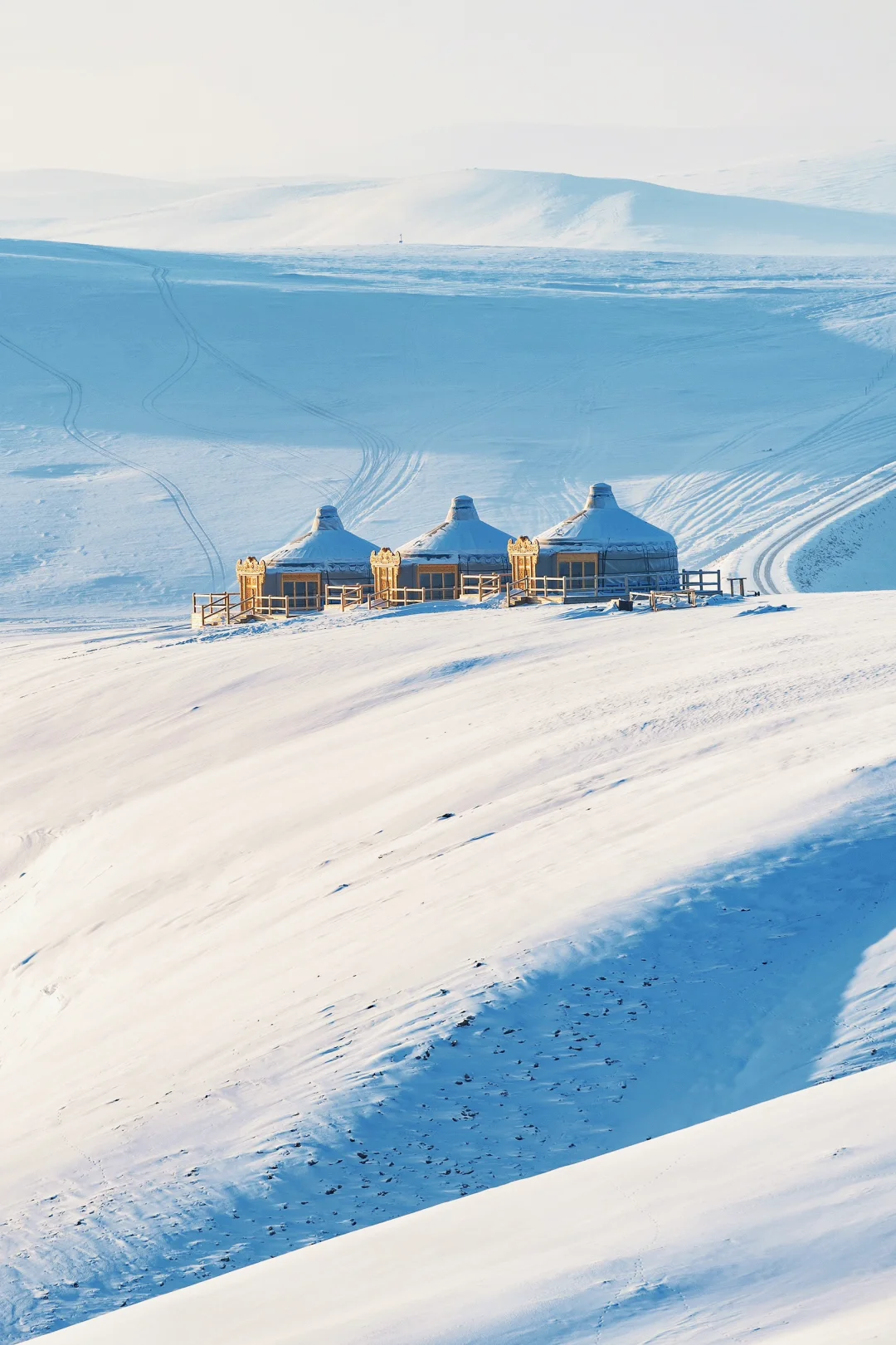 人生建议：1-2月一定要去次淡季的呼伦贝尔！