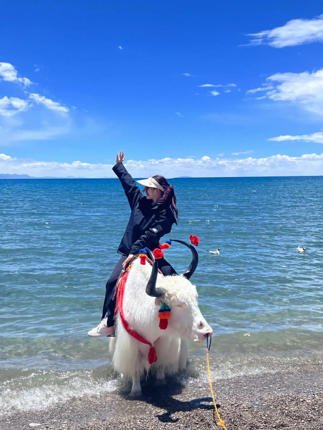 春节打算去西藏的，能劝一个算一个❗❗