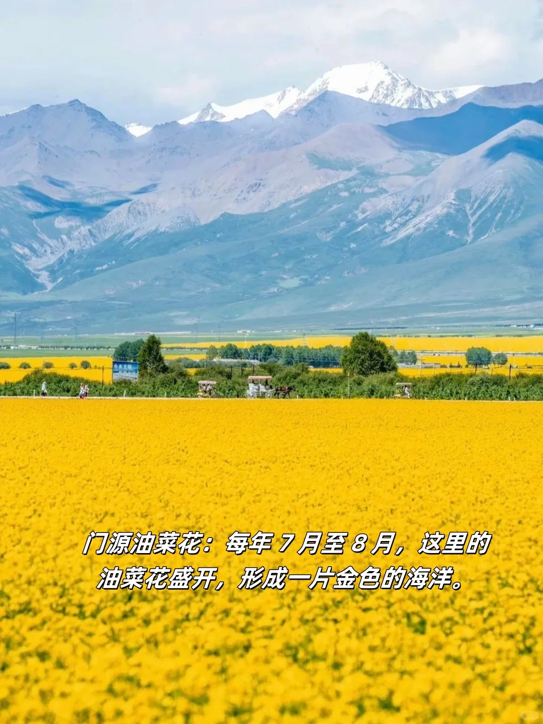 青海旅游攻略，此生必去！！