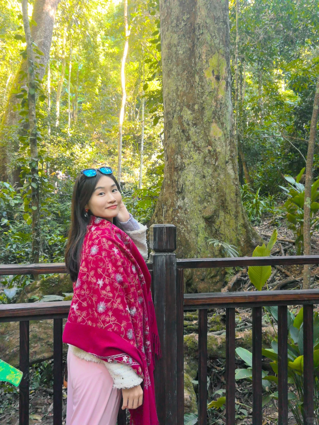 西双版纳🌴一定还会再去的宝藏暖冬小城‼️