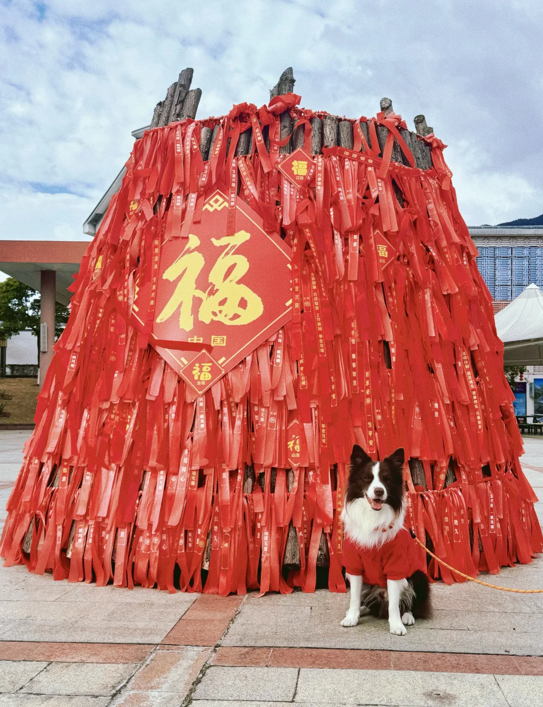 春节淡季 太适合带小狗去云门山旅游啦~