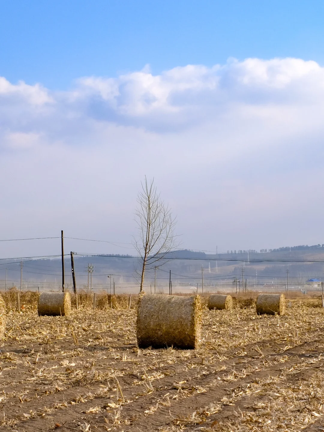 我宣布！！延吉是国内最值得去的城市！！