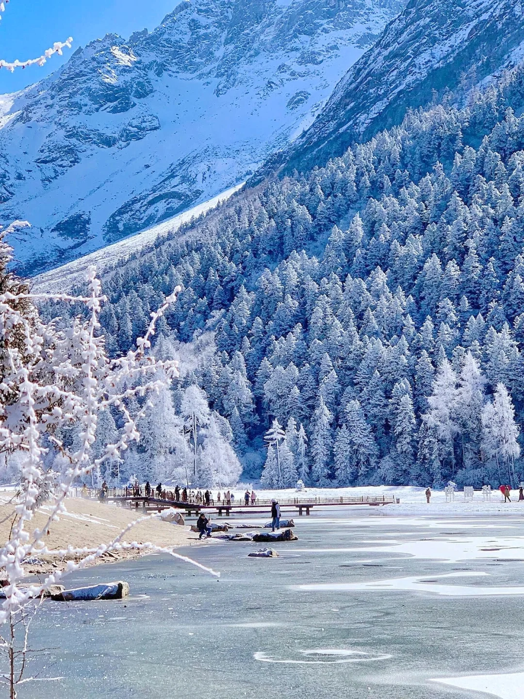 1.10📍毕棚沟豪赌成功！简直不要太美了！