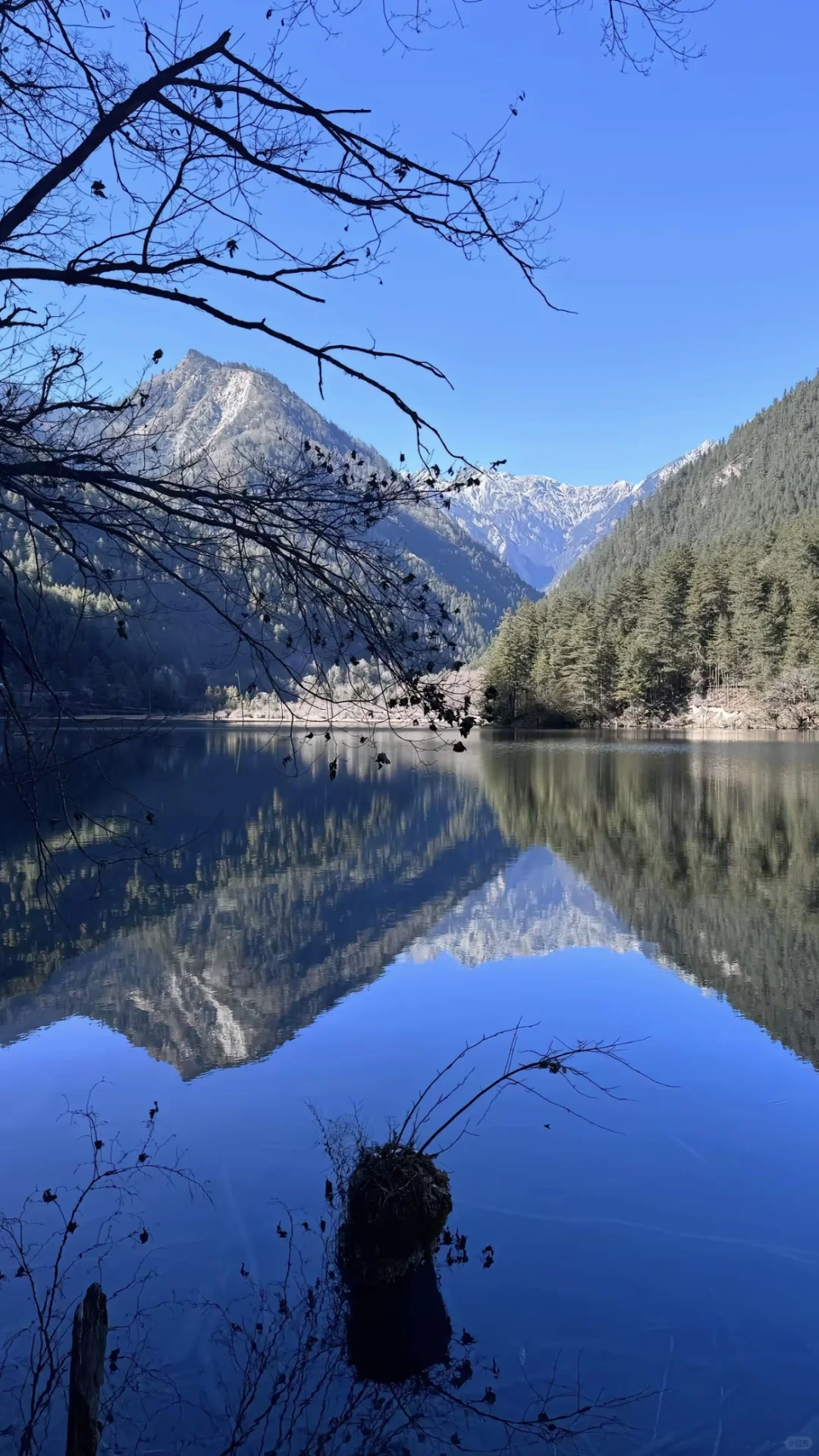 1.26📍九寨沟实拍直出，要去的赶紧听劝。。