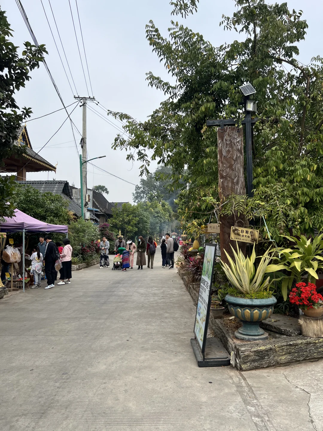 西双版纳🌴一定还会再去的宝藏暖冬小城‼️