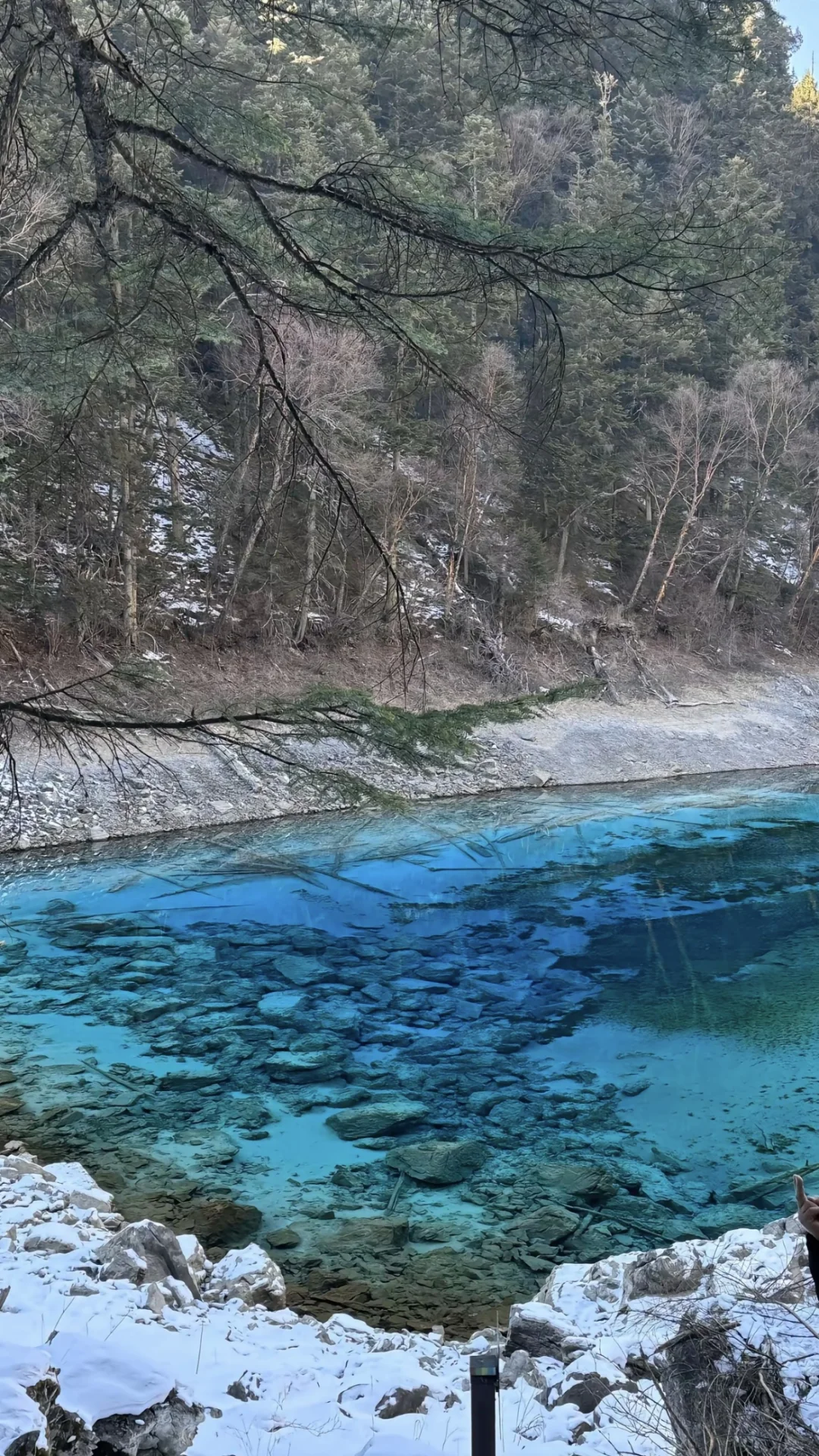 1.26📍九寨沟实拍直出，要去的赶紧听劝。。