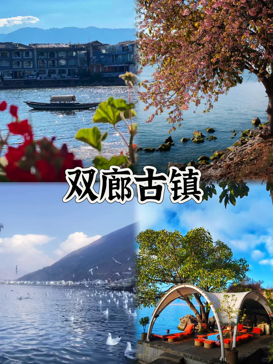 03女大📍大理/两日游不走回头路线攻略❗️