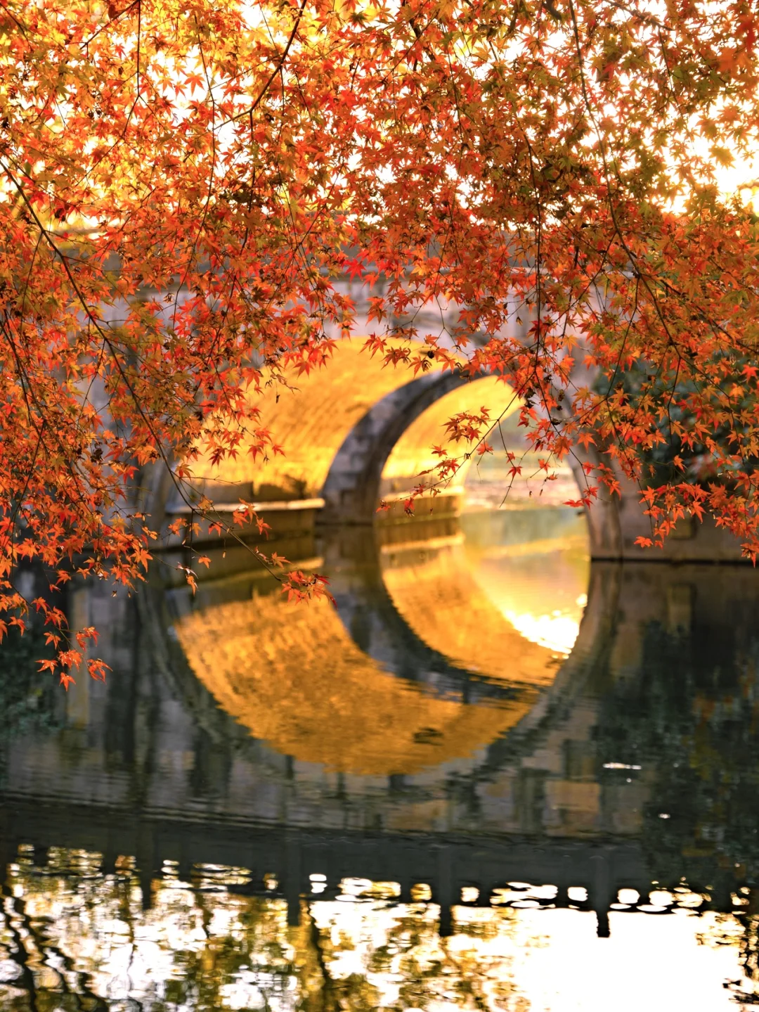 Welcome to Hangzhou-杭州的春夏秋冬