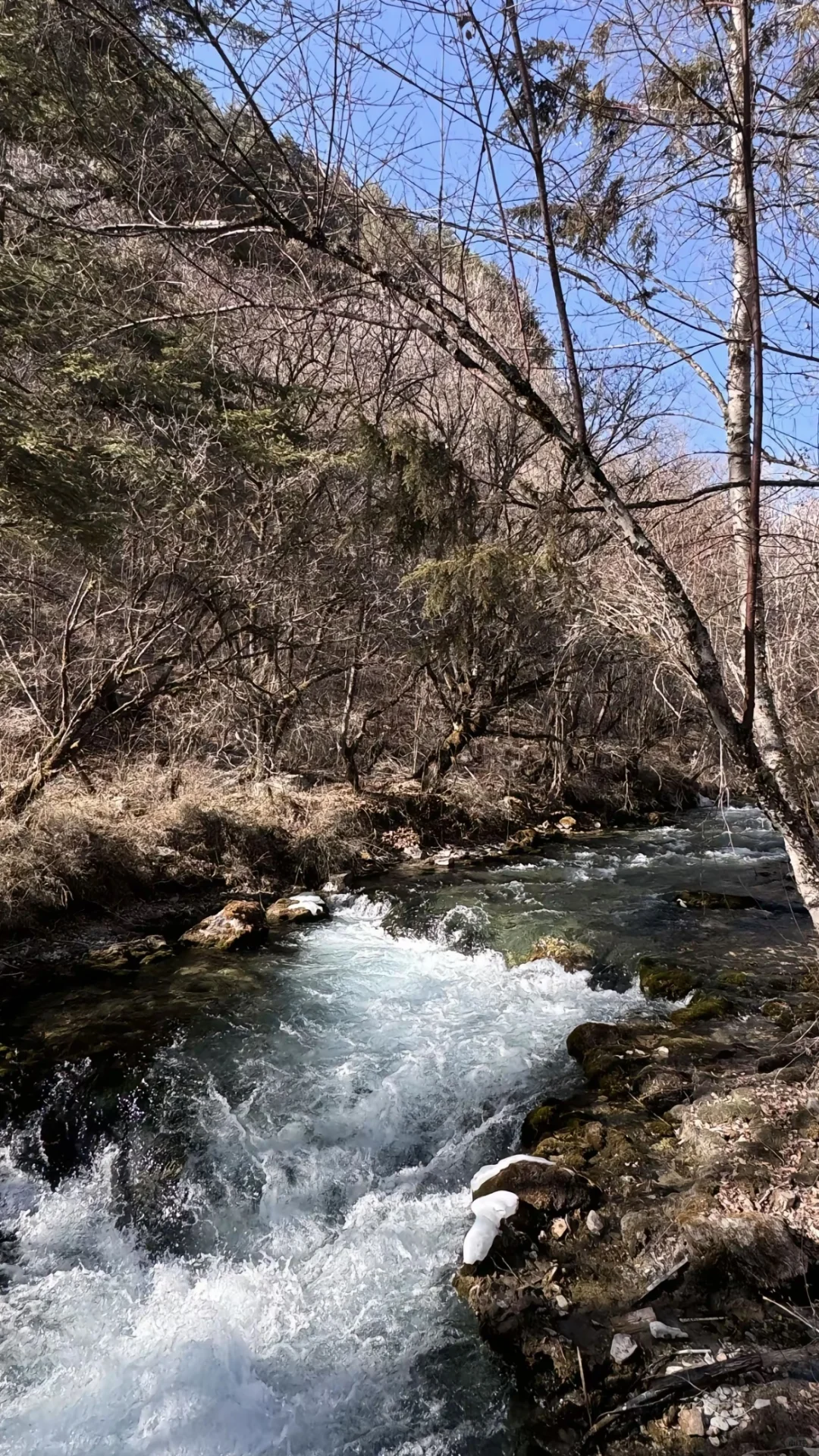 1.26📍九寨沟实拍直出，要去的赶紧听劝。。