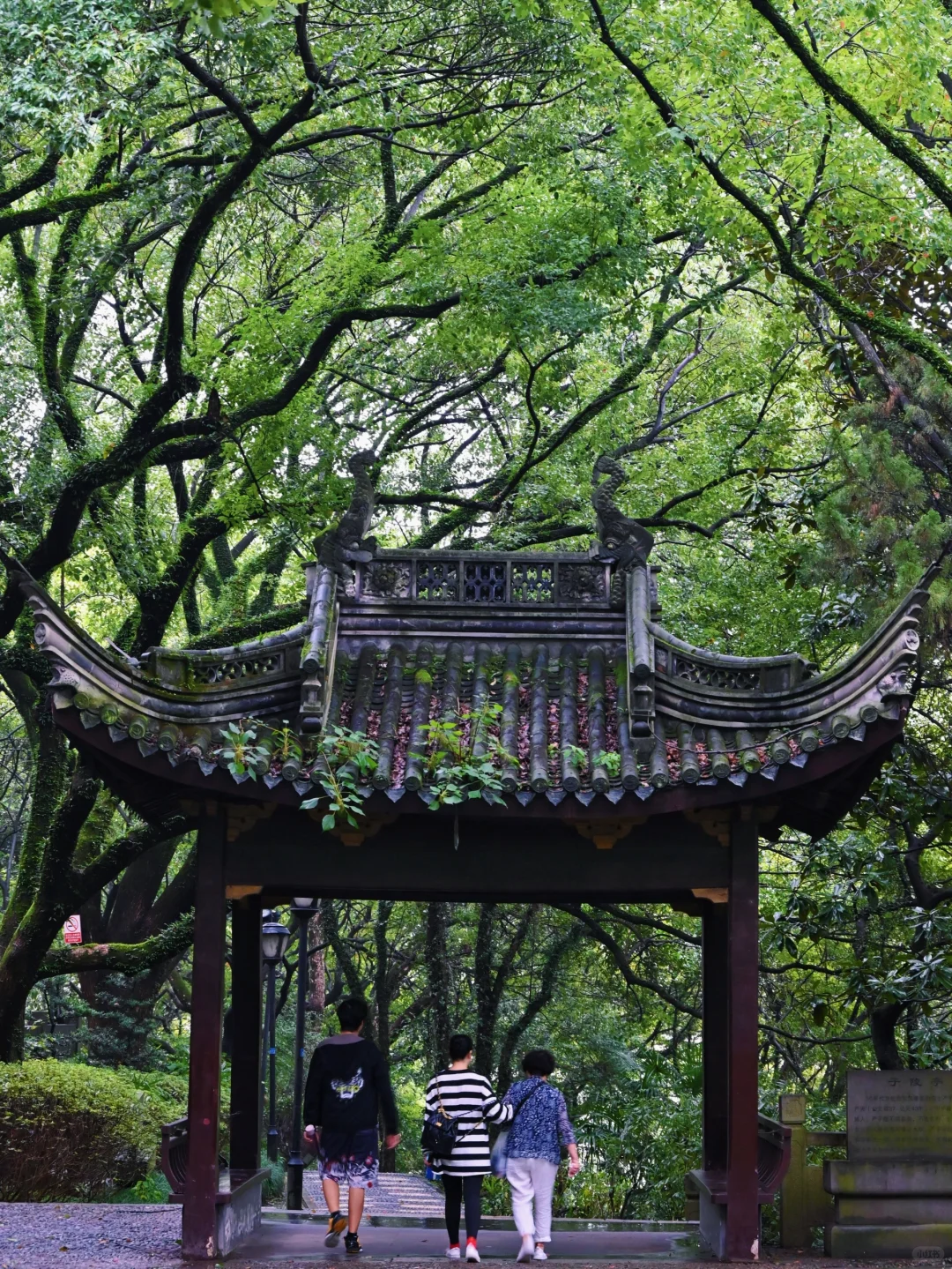 半天逛完浙江余姚7个景点的懒人版citywalk