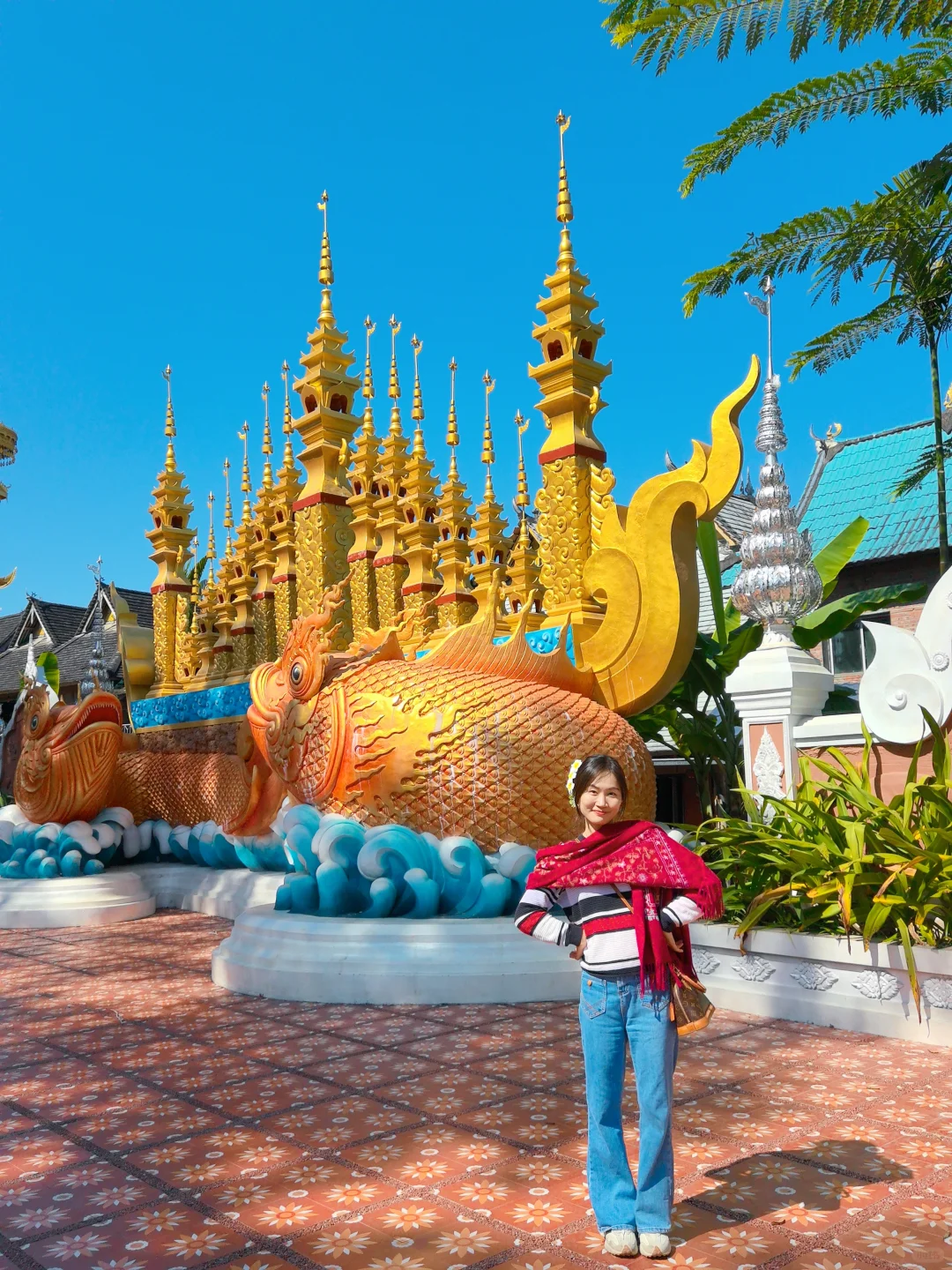 西双版纳🌴一定还会再去的宝藏暖冬小城‼️