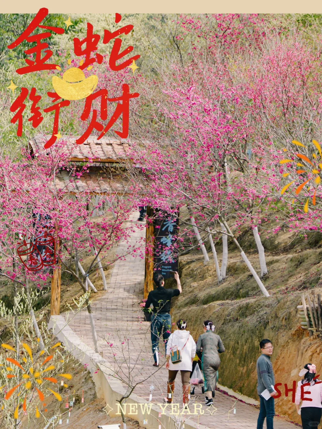 东莞1.5h🚗广州新春绝美赏樱路线分享🌸