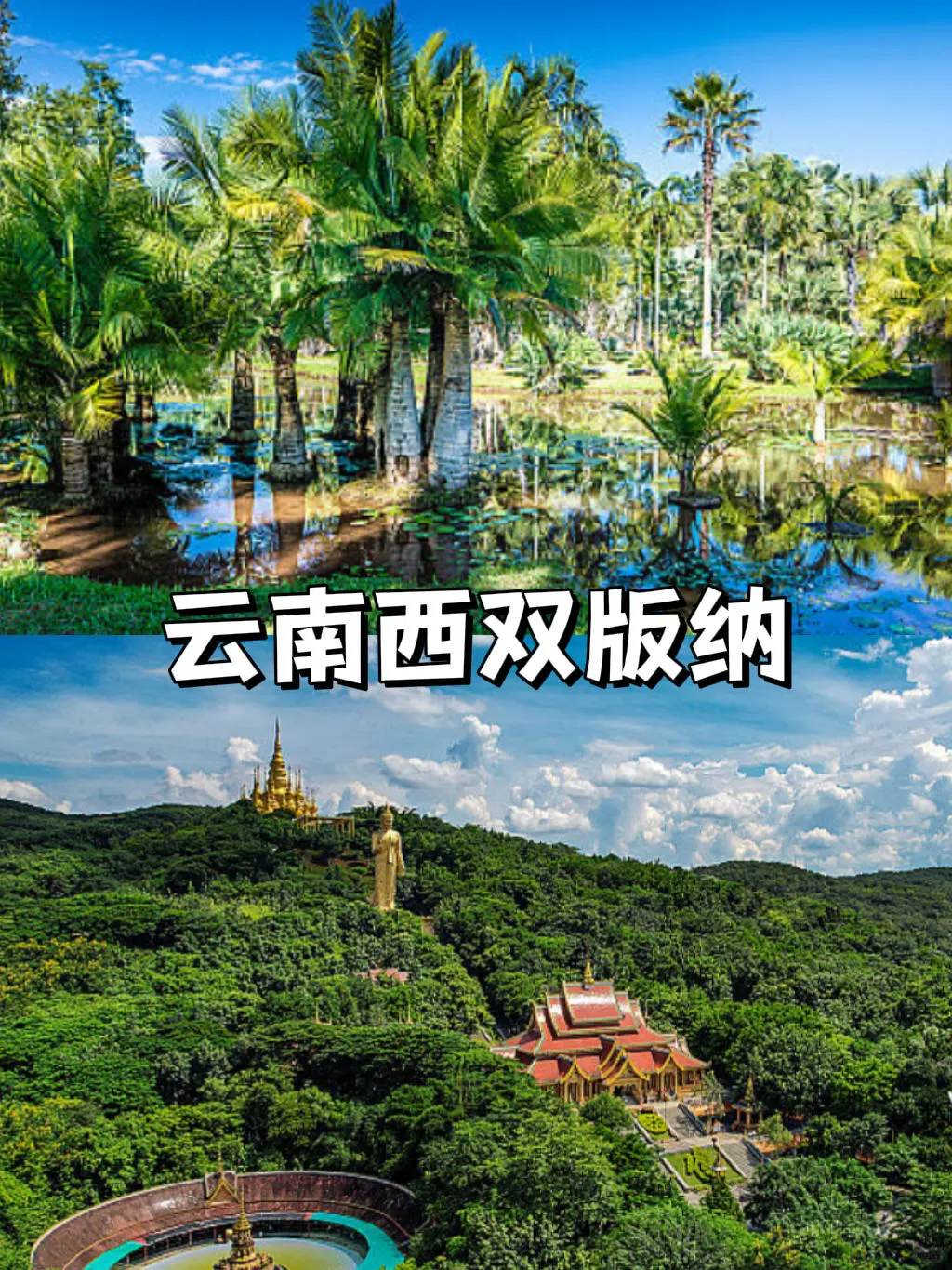 春节旅行计划🏮这些城市年味十足，可以冲🔥