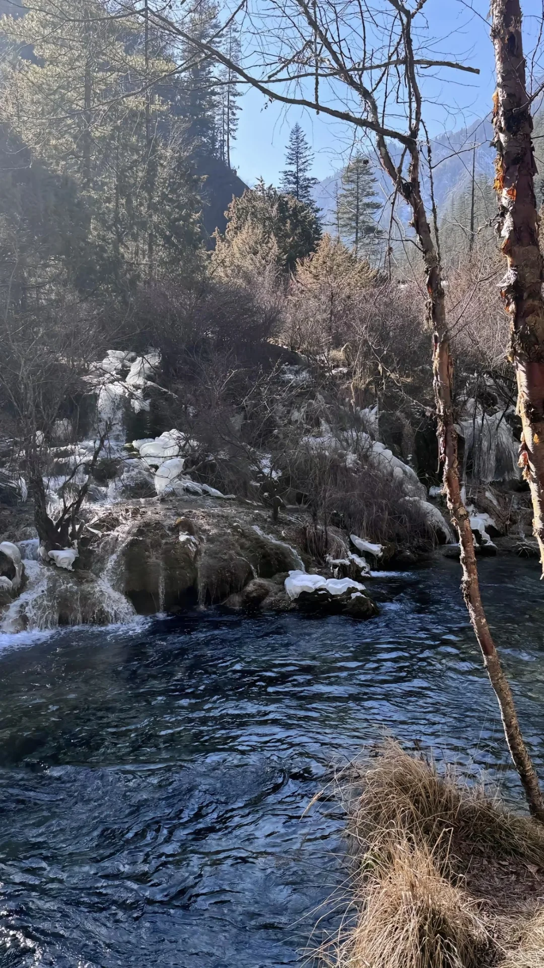 1.26📍九寨沟实拍直出，要去的赶紧听劝。。