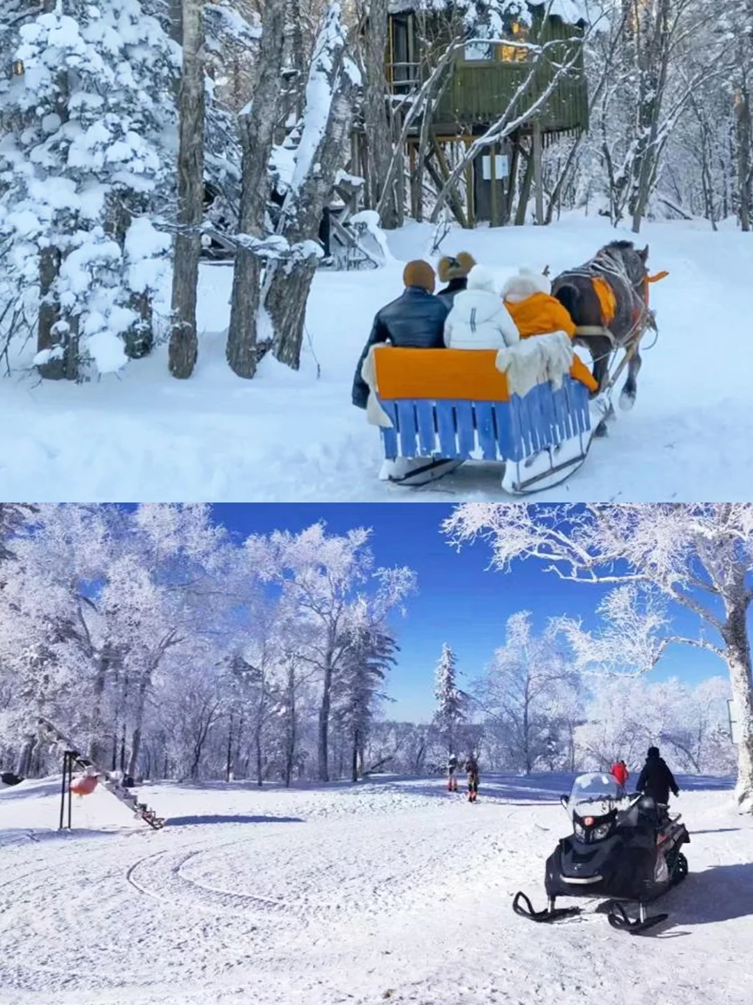 春节💕哈尔滨雪乡旅游攻略🔥不走回头路