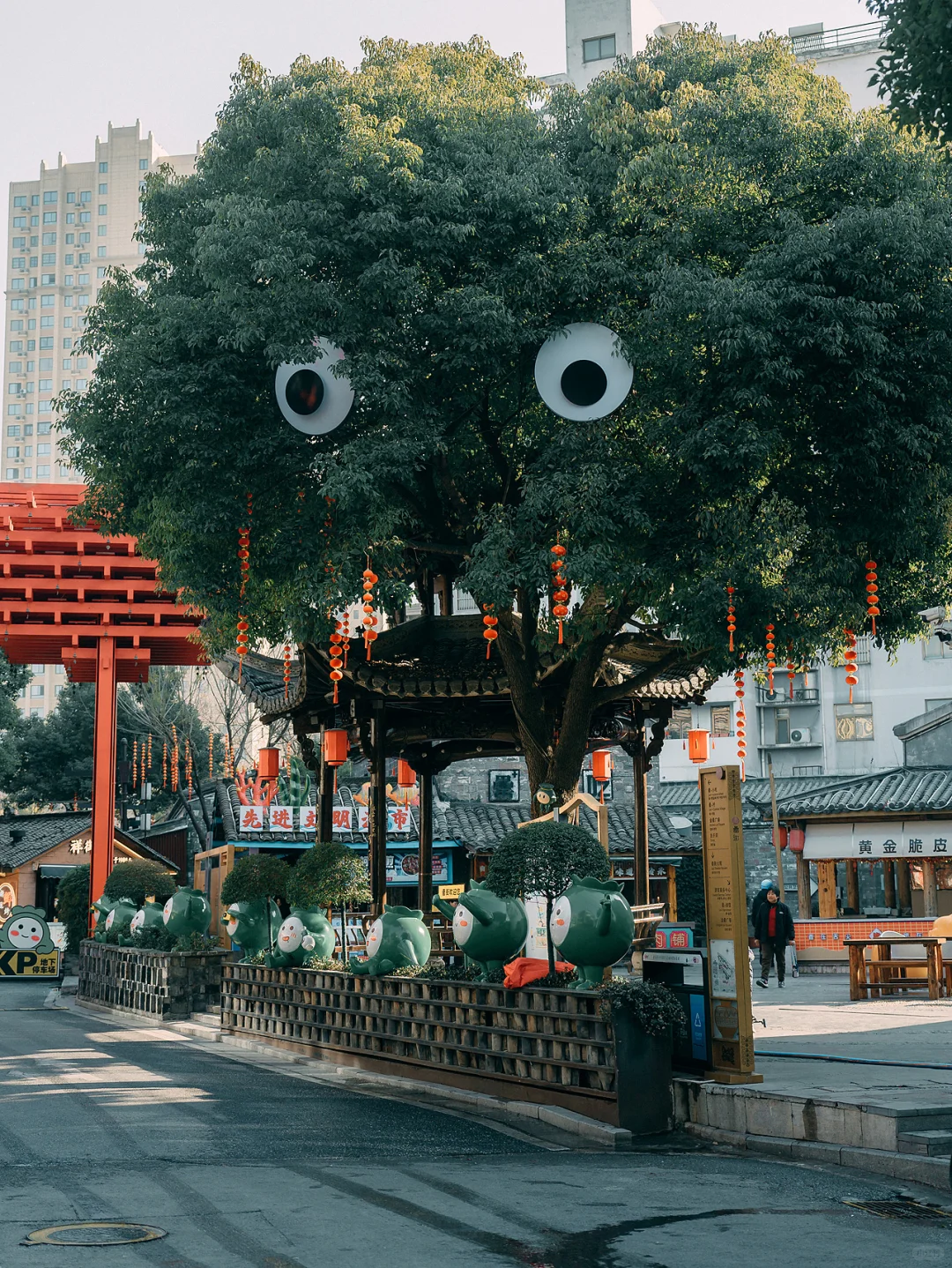 寒假反向旅游｜合肥亲子游详细攻略