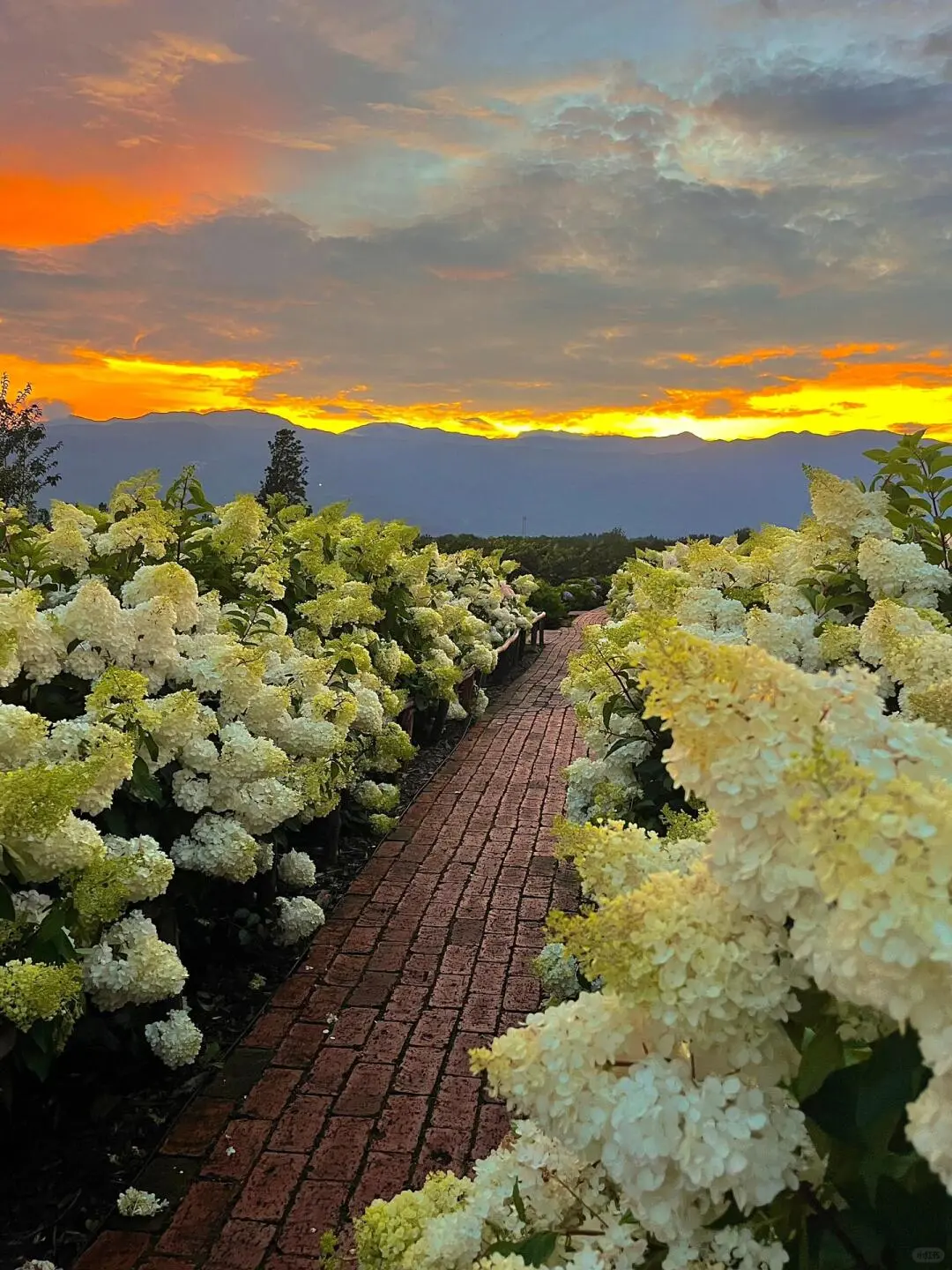 丽江淡季来了😭真的是游客天堂‼️