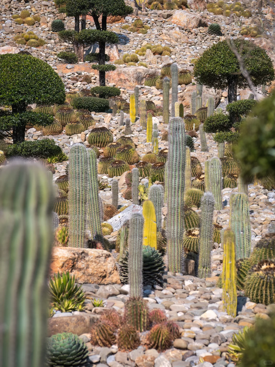 2024年，我去过的9个宝藏旅行地~