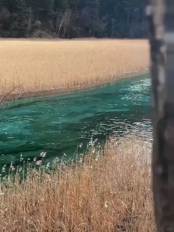 川西现状...😢真不建议1-3月去，因为...
