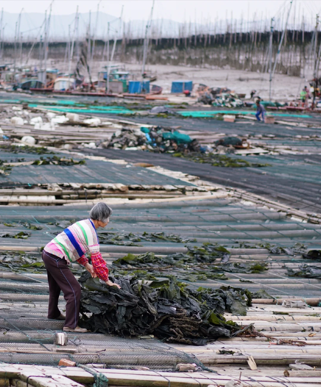 霞浦旅游最全攻略！！没有之一！