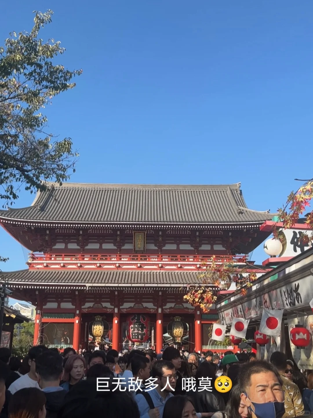 花小💰装大杯，5天4夜玩遍东京🗼