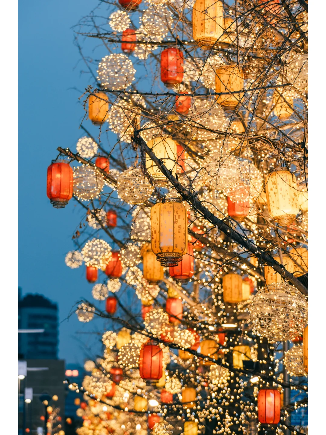 Hi TT Refugees❗️This is Real China❗️