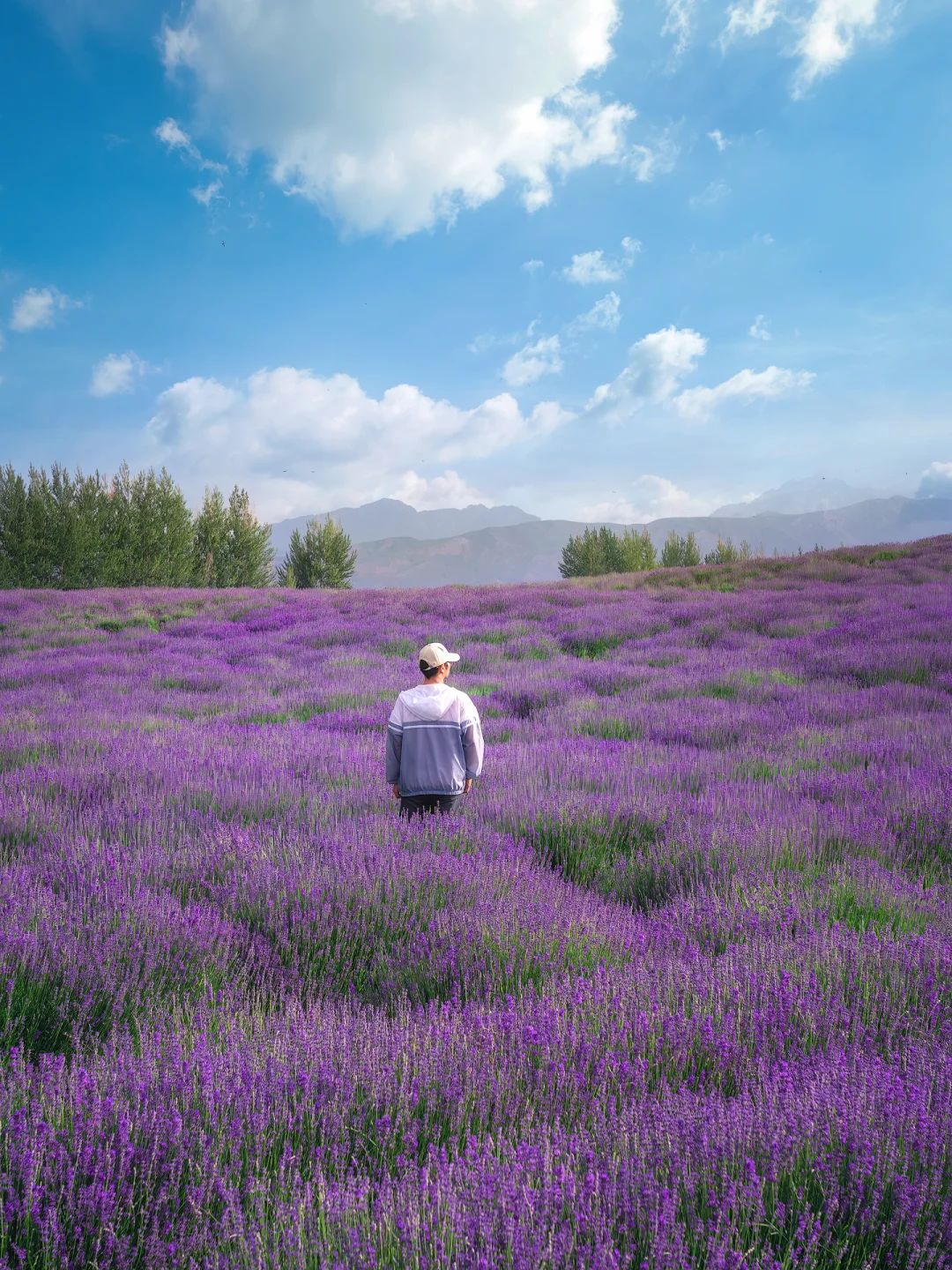 2024年，我去过的9个宝藏旅行地~