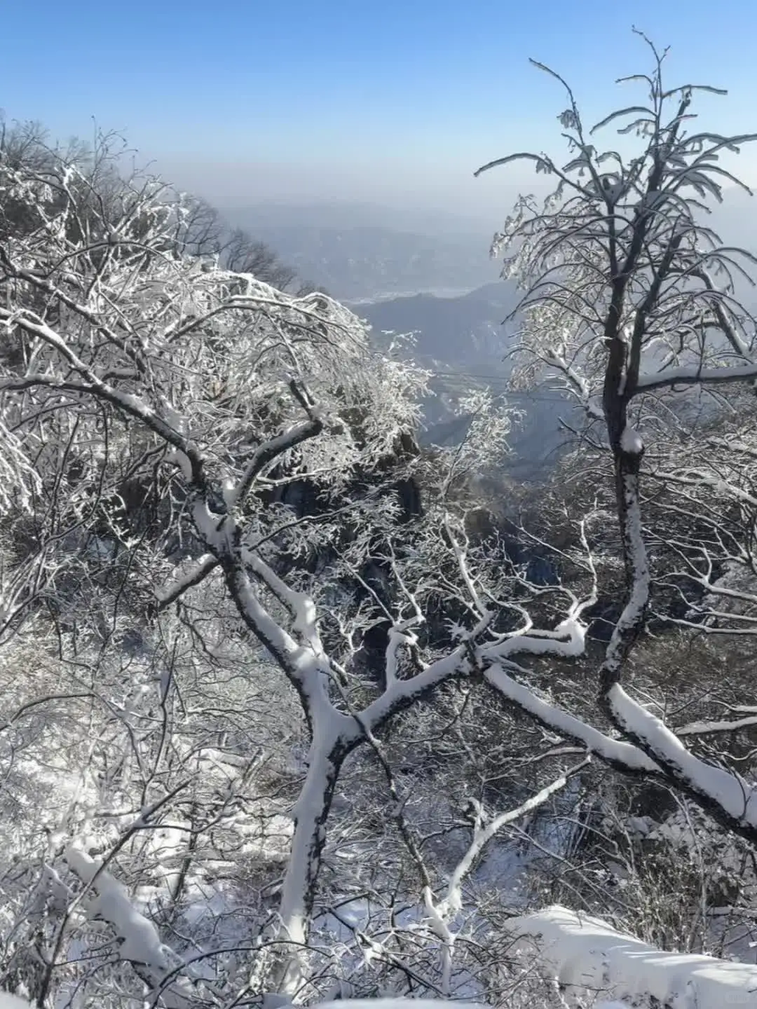 1.27号老君山实况，雪后登顶彻底无语了…