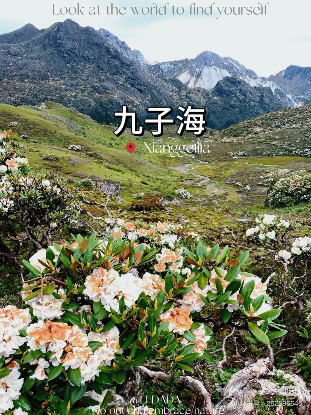 【绝美秘境】香格里拉，旅游攻略