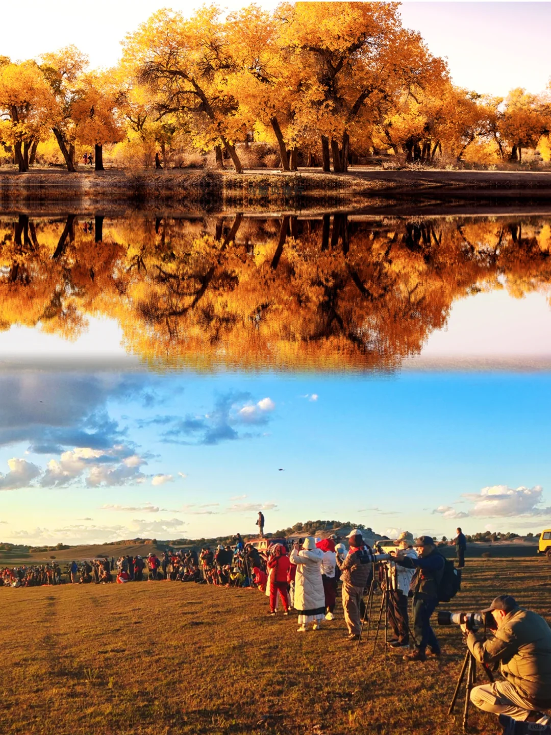 国庆3天2晚乌兰布统-史诗级的秋天🍁纯玩