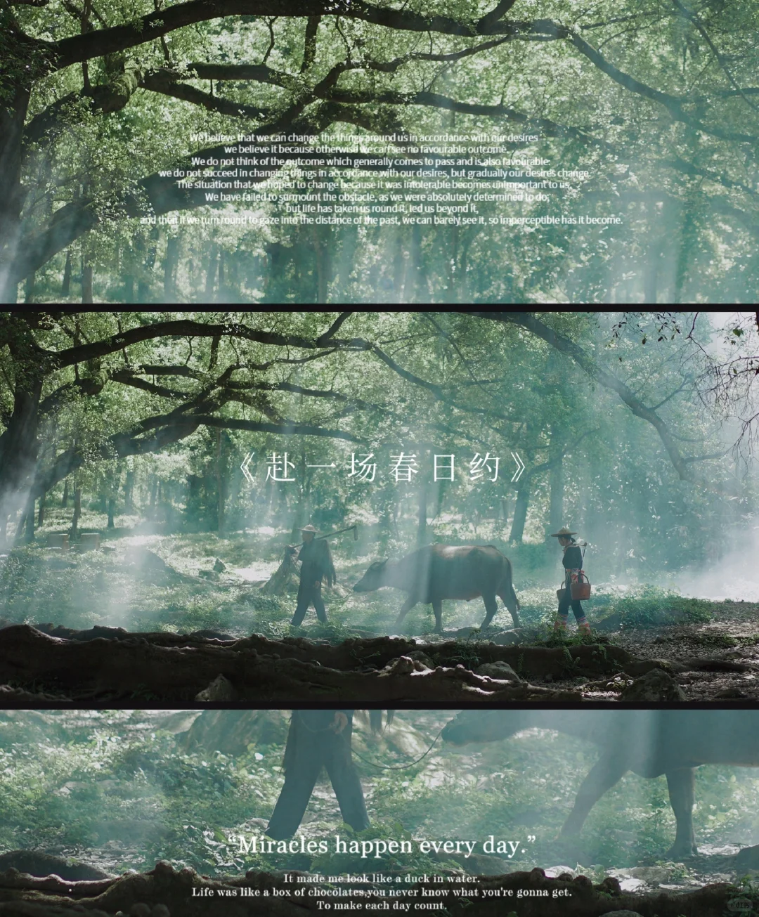 霞浦旅游最全攻略！！没有之一！