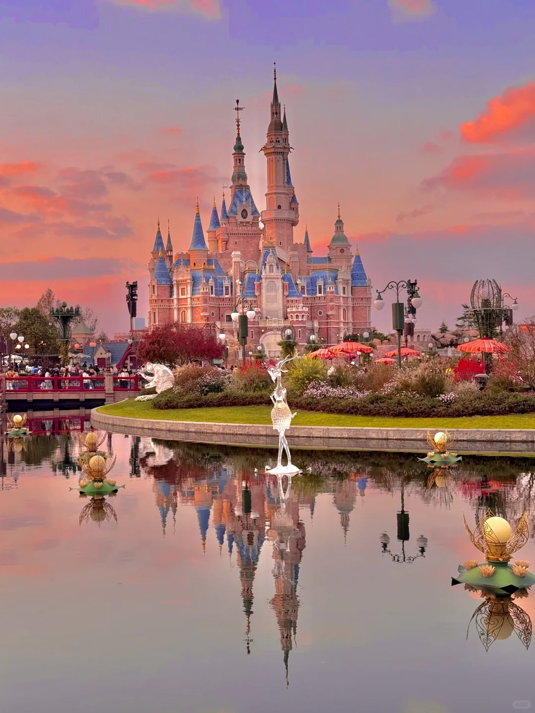 上海根本就不是小红书说的那样……