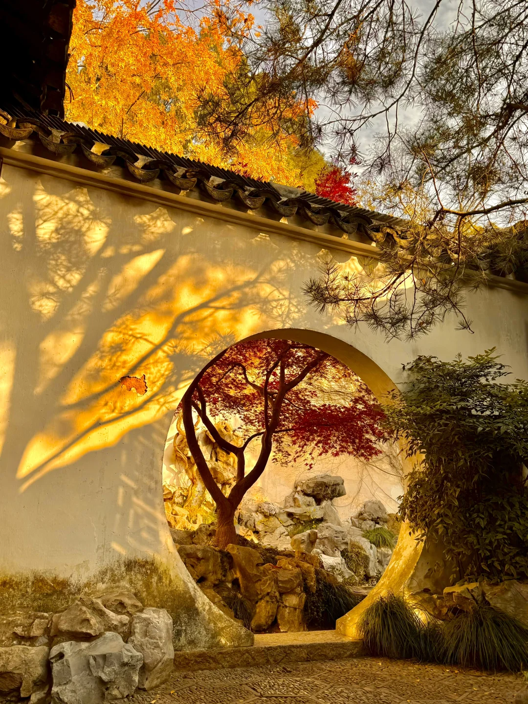 Hi TT Refugees❗️This is Real China❗️