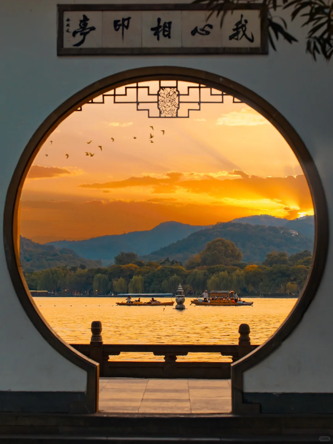 Hi TT Refugees❗️This is Real China❗️