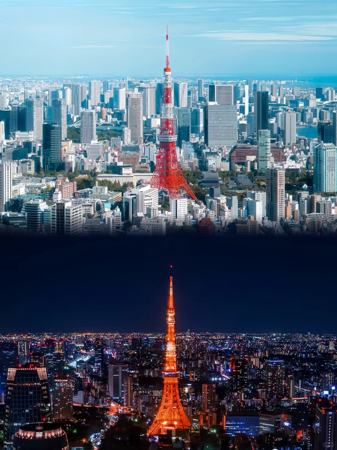 花小💰装大杯，5天4夜玩遍东京🗼