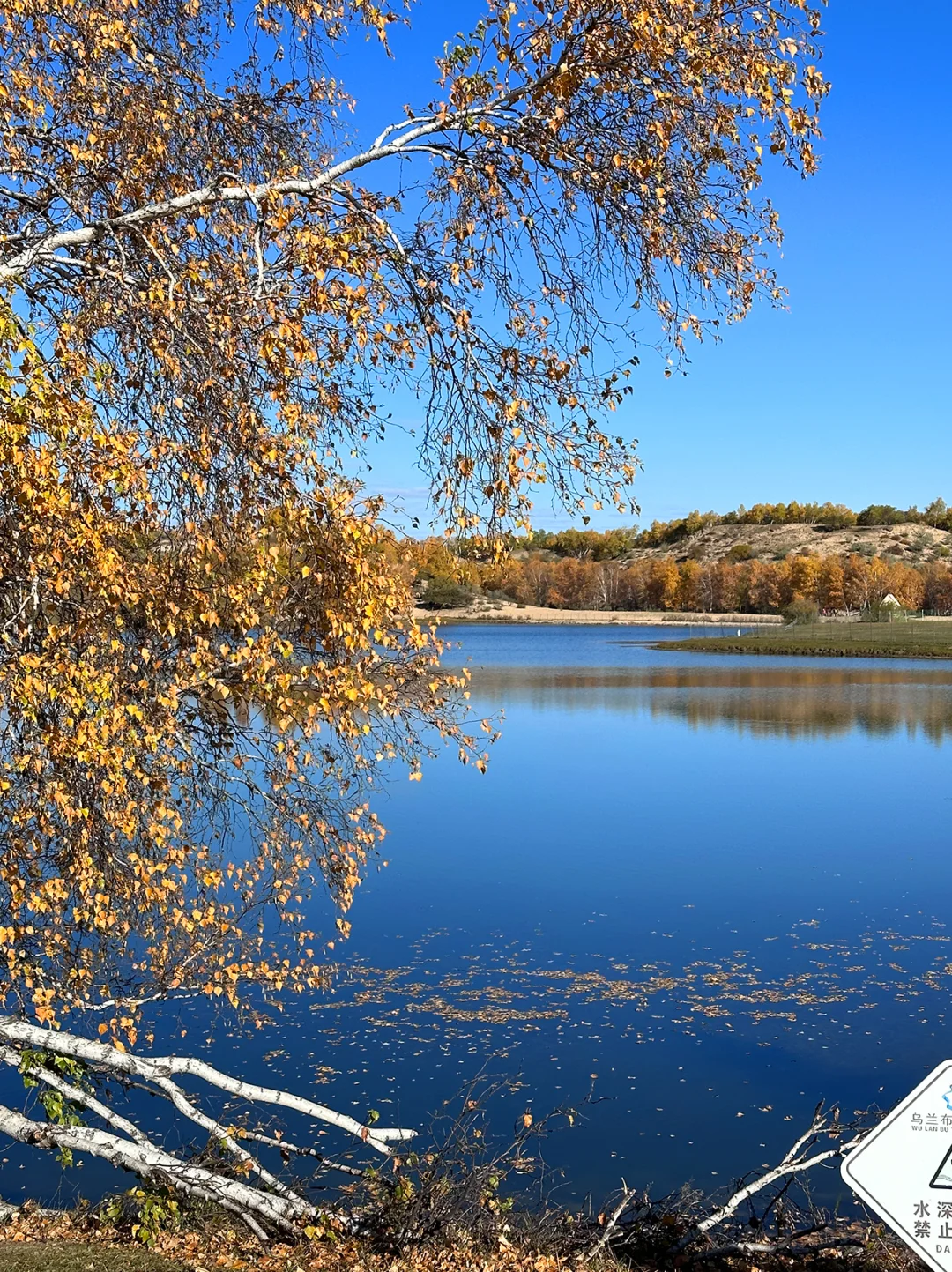 国庆3天2晚乌兰布统-史诗级的秋天🍁纯玩