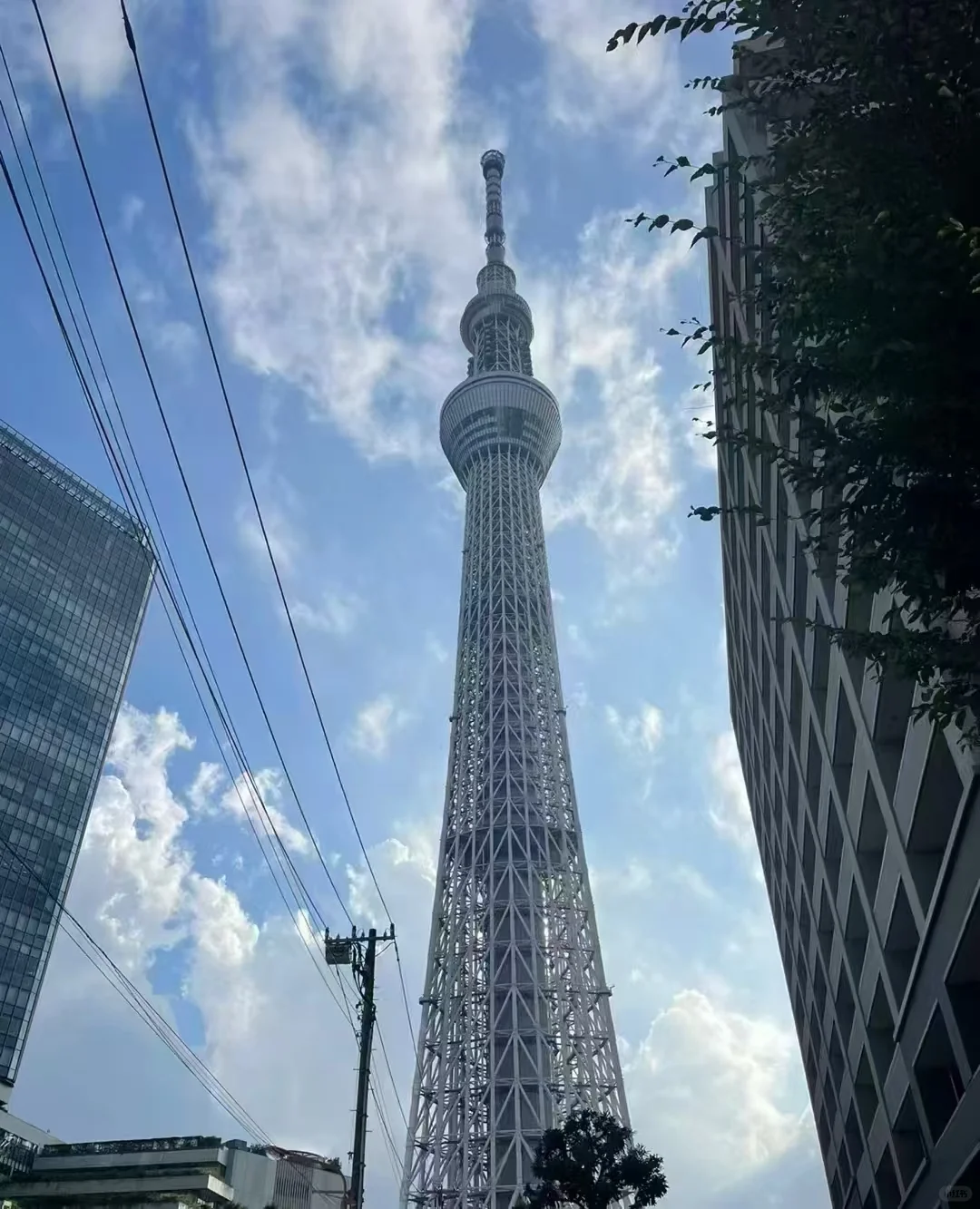 花小💰装大杯，5天4夜玩遍东京🗼